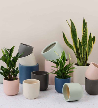 Pistachio Earthenware Pot