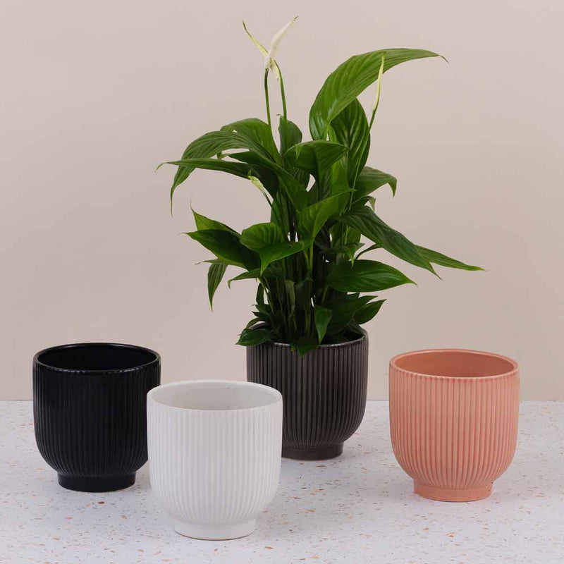 Ribbed Ceramic Pot
