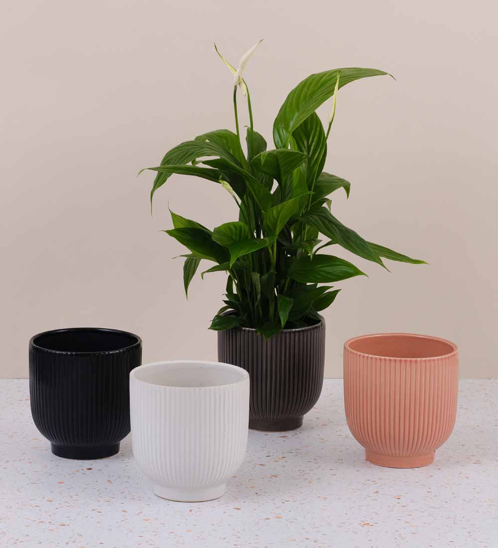 Ribbed Ceramic Pot