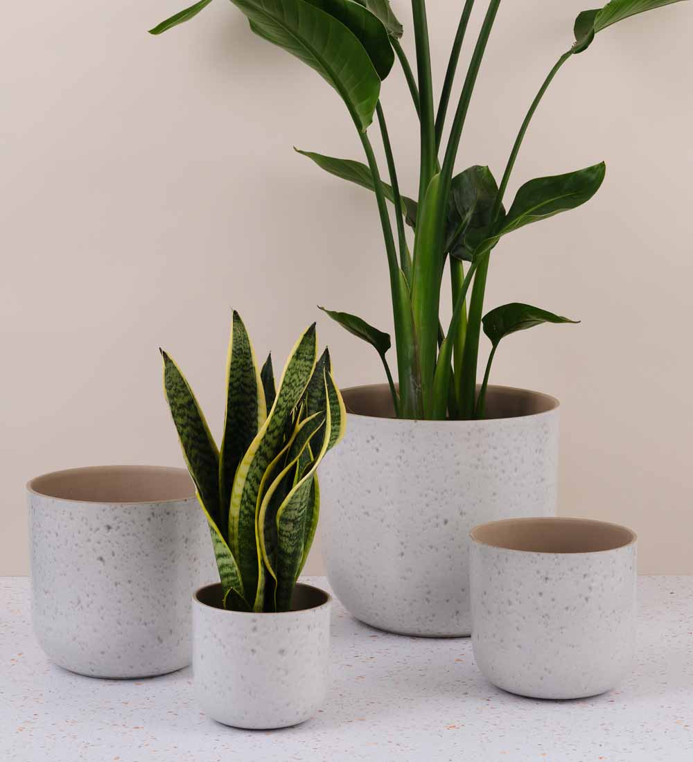 Light Grey Matt Speckled Pot