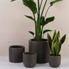 Graphite Earthenware Pot