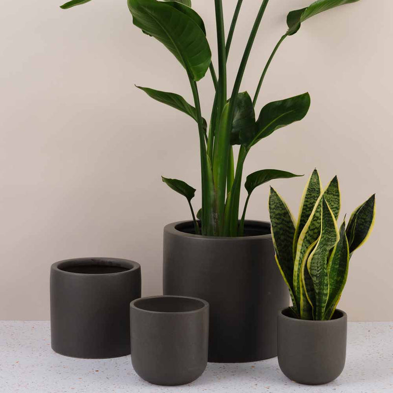 Graphite Earthenware Pot