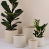 Oyster Earthenware Pot