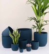 Teal Elho Vibes Pot