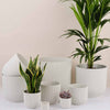 White Elho Vibes Pot