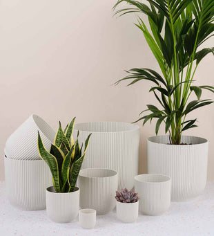 White Elho Vibes Pot