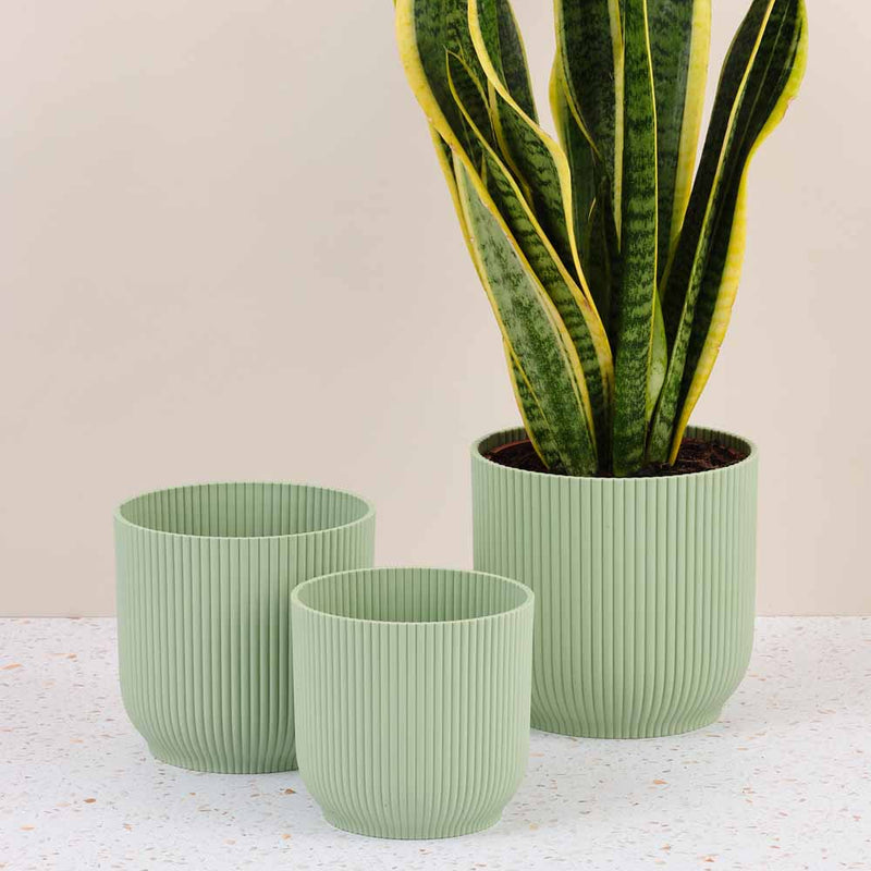 Mint Elho Vibes Pot