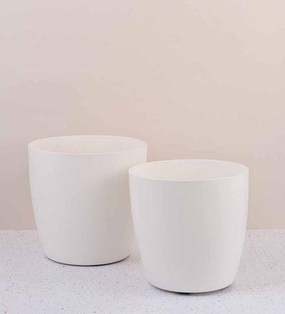 White Elho Planter on Wheels