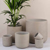 Stone Concrete Pot