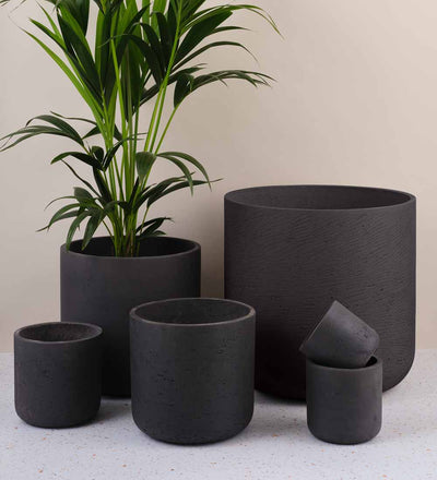 large grey pots for plants Dark Grey Concrete Pot