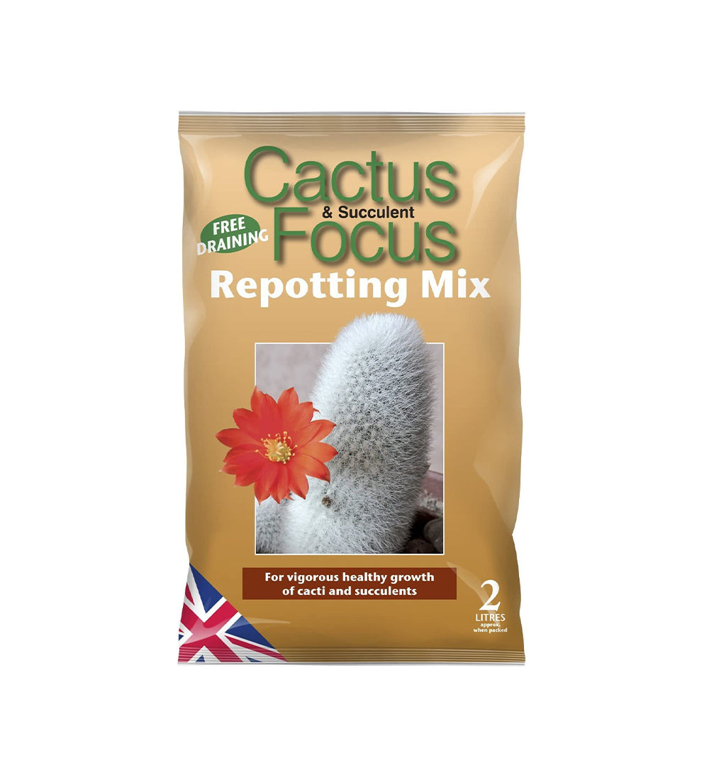 Cacti & Succulent Repotting Mix