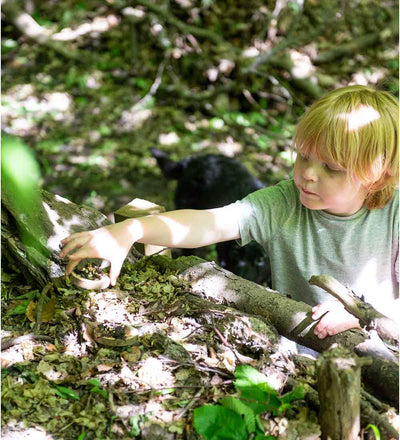 The Bug Spotter Kit