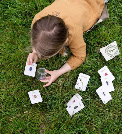 The Bug Spotter Kit