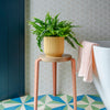Boston Fern