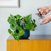 Propagation Bundle