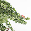 Lipstick Plant