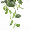 Hanging Satin Pothos