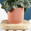 Rose Elho Vibes Pot (7cm)