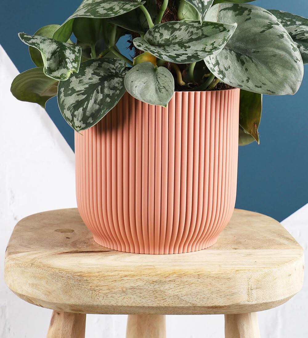 Rose Elho Vibes Pot (7cm)