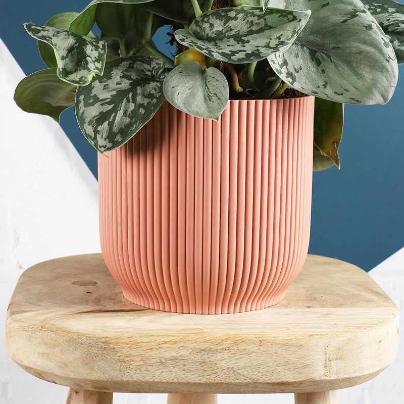 Rose Elho Vibes Pot (22cm)