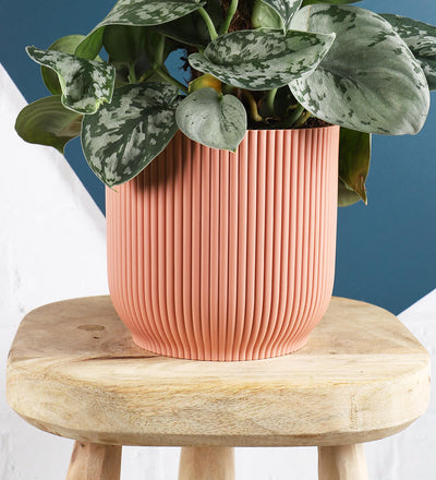 Rose Elho Vibes Pot (25cm)