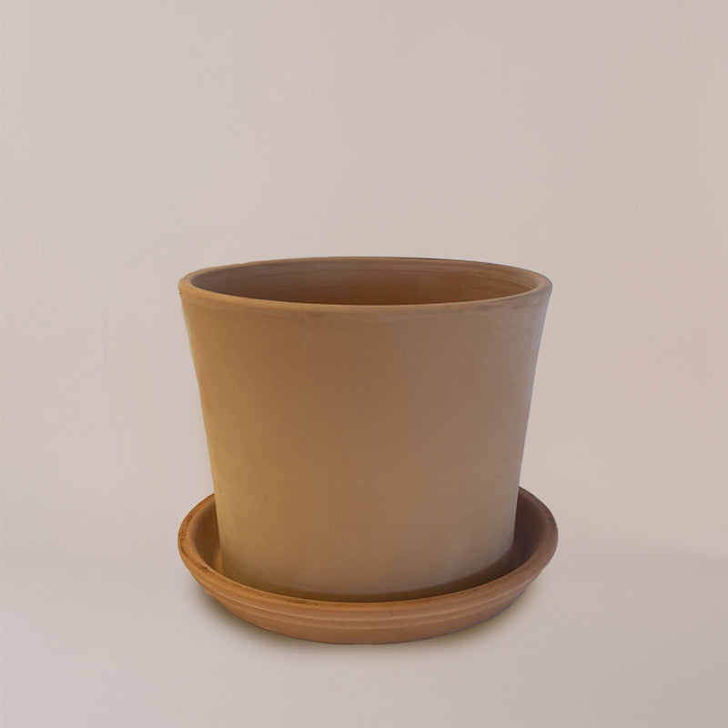 Contemporary Terracotta Pot with Saucer (16cm)