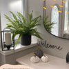Boston Fern