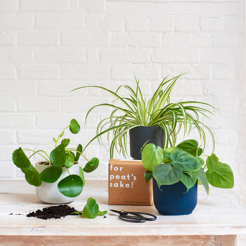 Propagation Bundle