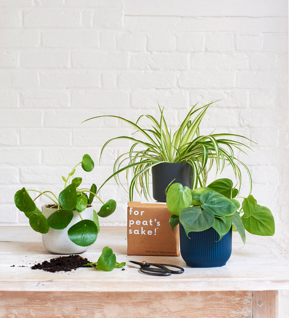 Propagation Bundle