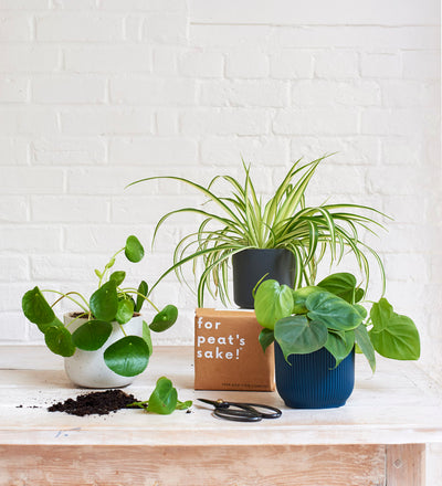 Propagation Bundle