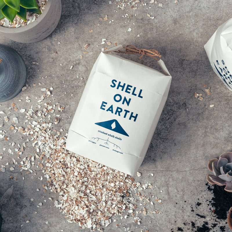 Shell On Earth
