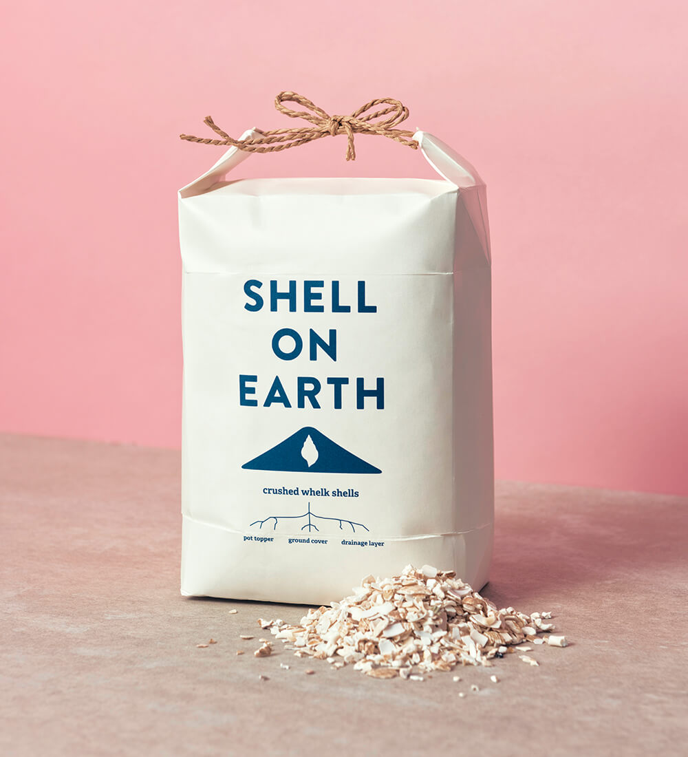 Shell On Earth