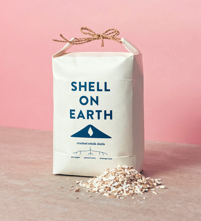 Shell On Earth