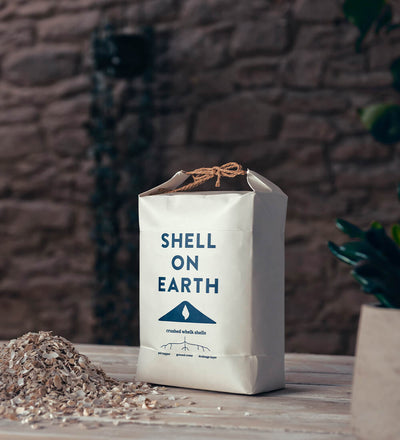 Shell On Earth