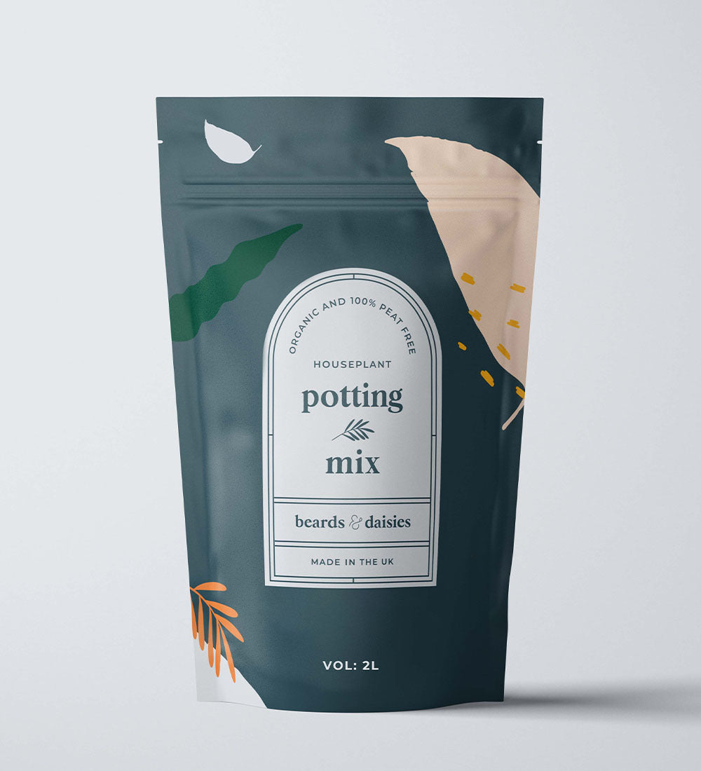 Potting Soil Beards & Daisies