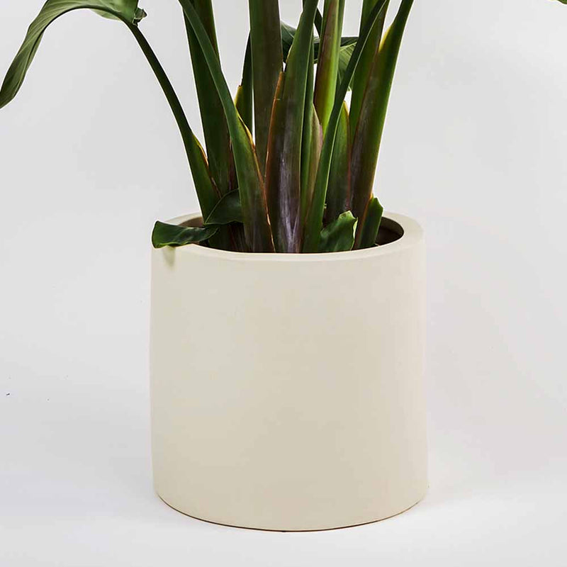 Oyster Earthenware Pot (28cm)