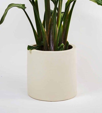 Oyster Earthenware Pot (28cm)