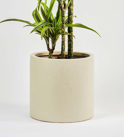 Oyster Earthenware Pot (25cm)