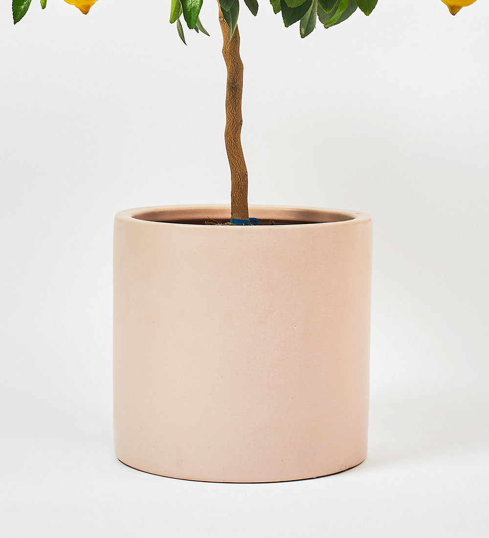 Pink Clay Earthenware Pot (21cm)