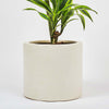 Oyster Earthenware Pot (21cm)