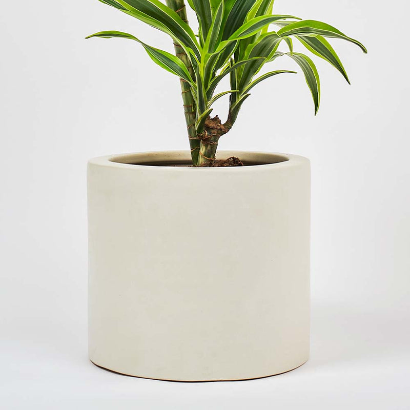 Oyster Earthenware Pot (21cm)