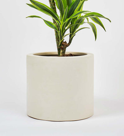 21cm plant pot Oyster Earthenware Pot (21cm)