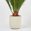 Oyster Earthenware Pot (14cm)