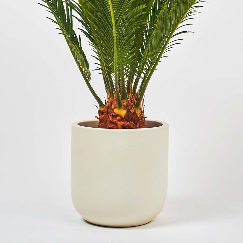 Oyster Earthenware Pot (14cm)