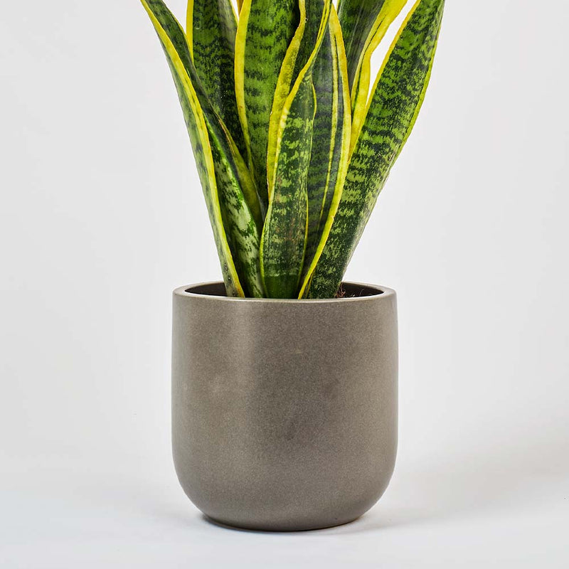 Graphite Earthenware Pot (14cm)