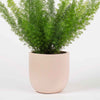 Pink Clay Earthenware Pot (14cm)