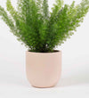 Pink Clay Earthenware Pot (14cm)