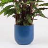 Inky Blue Earthenware Pot (14cm)