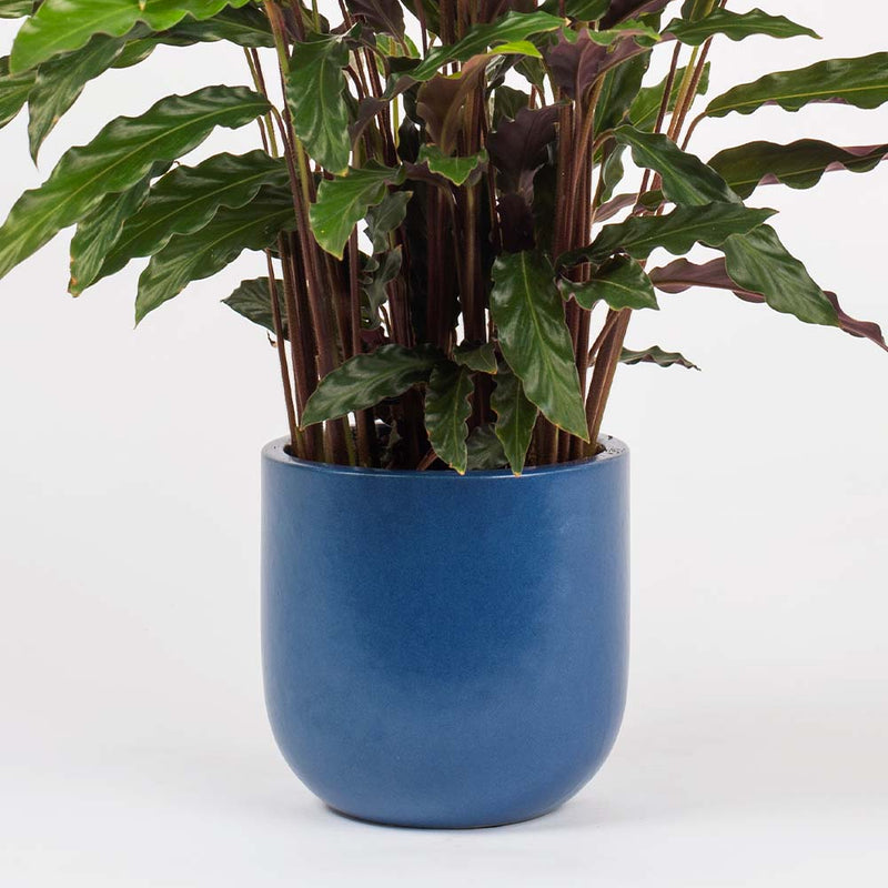 Inky Blue Earthenware Pot (14cm)