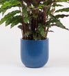 Inky Blue Earthenware Pot (14cm)